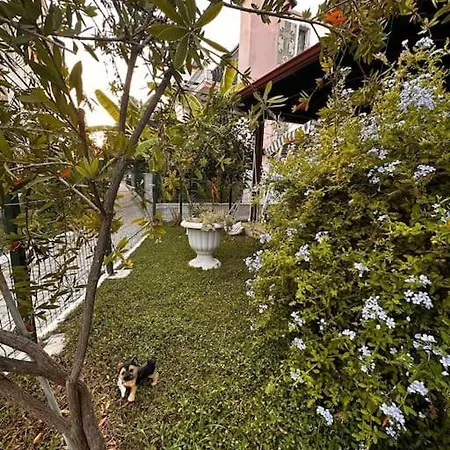 Case de vacanță Villa Kusadasi